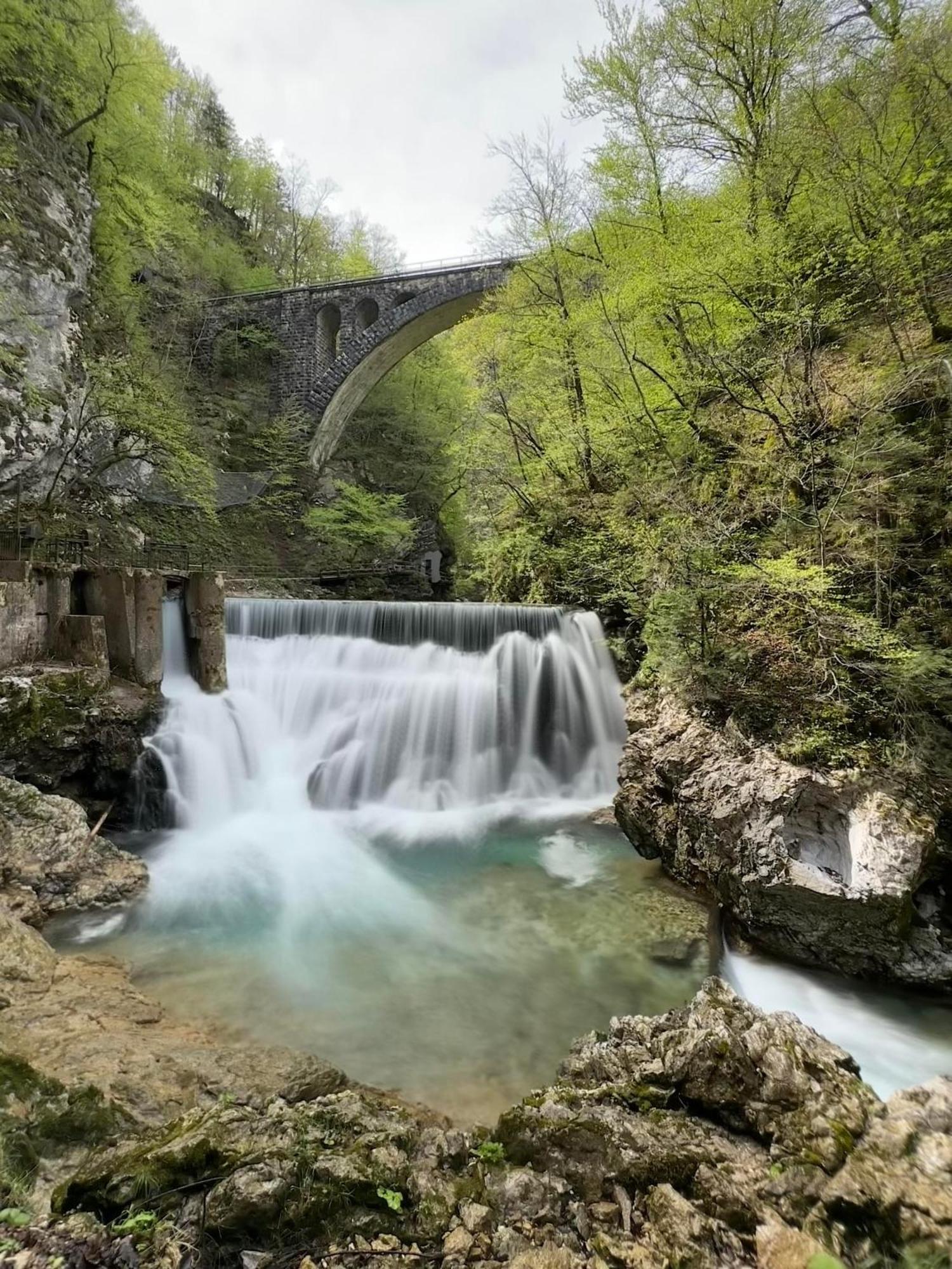 Forest Breeze Apartments Blejska Dobrava Exteriér fotografie
