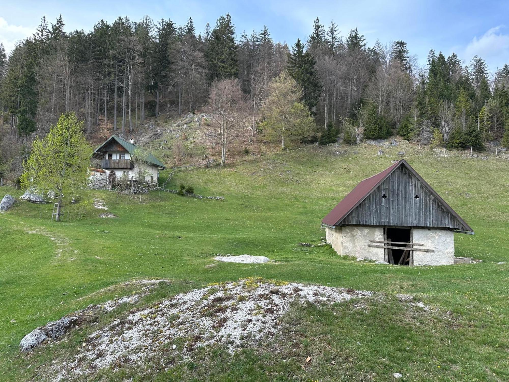 Forest Breeze Apartments Blejska Dobrava Exteriér fotografie